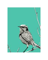 Bird Blue - Gicl??e Print Of Original Gouache & Ink Painting - thumbnail 1