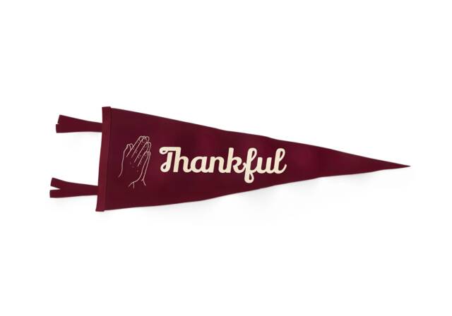 Thankful Pennant - New Zealand Travel Felt Pennants Flag Banner Vintage Style Wall Decor