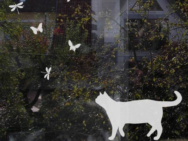 Etched Cat & Butterfly Window Decal Nursery Glass Sticker - image 1