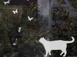 Etched Cat & Butterfly Window Decal Nursery Glass Sticker - thumbnail 1