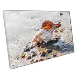 Coastal Canvas Print Ocean Shell Wall Art For Beach-Inspired Home & Office Decor - thumbnail 1