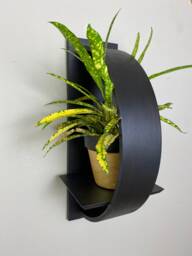 Reclaimed Wood Wall Plant Shelf Circular Maple Drum Shell Decor - thumbnail 1
