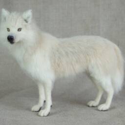 Made To Order Needle Felted Wolf Custom Needle Felted Animal Sculpture - thumbnail 4