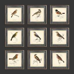 Set Of 9 British Birds Prints Square Botanical Vintage Classic Decor Neutral Home Wall Art Cottage - thumbnail 1