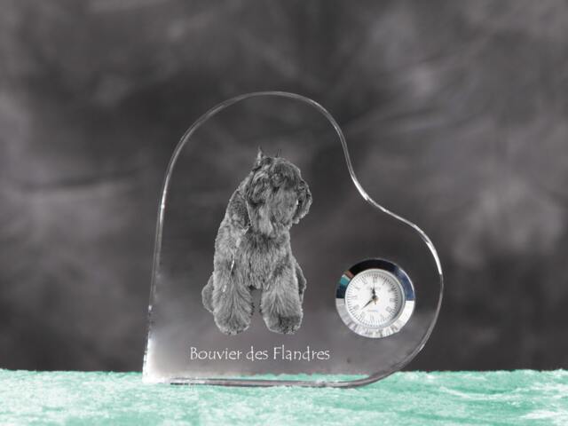 Flandres Cattle Dog - Crystal Clock in The Shape Of A Heart With Image Pure-Bred Dog - image 1
