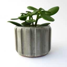 Handmade Medium Concrete Plant Pot Modern Planter For Indoor Plants