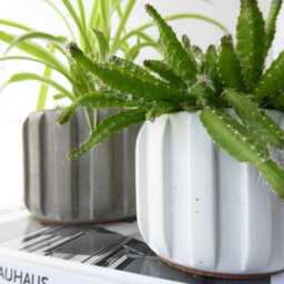 Handmade Medium Concrete Plant Pot Modern Planter For Indoor Plants - thumbnail 2