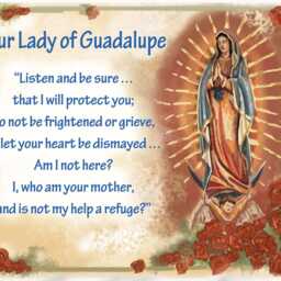 Our Lady Of Guadalupe Prayer Pillowcase, Catholic Pillow Cases, Home Decor & Gifts Under 20 - thumbnail 3
