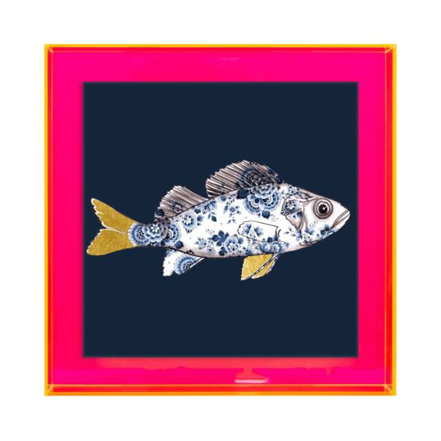 Funky Fish Sea Bass in Blue - Neon Colored Acrylic Frame - image 1