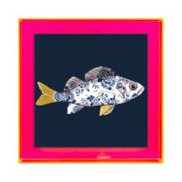 Funky Fish Sea Bass in Blue - Neon Colored Acrylic Frame - thumbnail 1