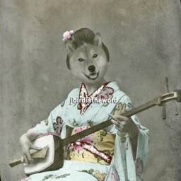 Shiba Inu, Pet Loss Gifts, Dog Memorial, Funny Idea, Geisha Artwork, Japanese Teacher, Super Kawaii, Japan History, Weird Gift Her, Art - thumbnail 2