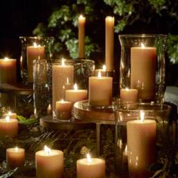 Little Bee Hand Rolled Beeswax Taper Candle Pair - thumbnail 2