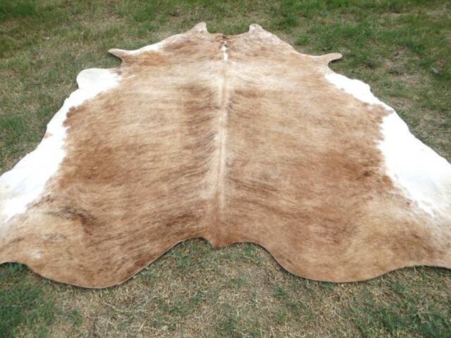 Brindle Caramel Brown Large New Cowhide Rug Natural Hair On - 6x6 Ft Size Approx Tri-Color Brown Tones Soft Carpet Cow Hide R-R C - image 1