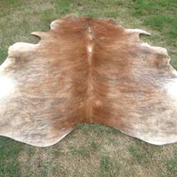 Brindle Caramel Brown Large New Cowhide Rug Natural Hair On - 6x6 Ft Size Approx Tri-Color Brown Tones Soft Carpet Cow Hide R-R C - thumbnail 2