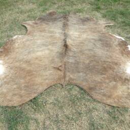 Brindle Caramel Brown Large New Cowhide Rug Natural Hair On - 6x6 Ft Size Approx Tri-Color Brown Tones Soft Carpet Cow Hide R-R C - thumbnail 4