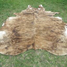 Brindle Caramel Brown Large New Cowhide Rug Natural Hair On - 6x6 Ft Size Approx Tri-Color Brown Tones Soft Carpet Cow Hide R-R C - thumbnail 3