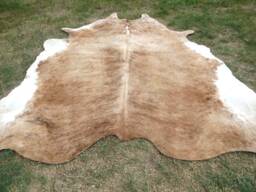 Brindle Caramel Brown Large New Cowhide Rug Natural Hair On - 6x6 Ft Size Approx Tri-Color Brown Tones Soft Carpet Cow Hide R-R C - thumbnail 1