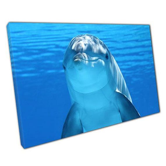 Vibrant Dolphin Close-Up Canvas Ready-To-Hang Wall Art For Home & Office Marine Decor - image 1