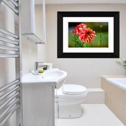 Dahlias Photograph Wall Art, Digital Download, Botanical Photo, Flower Decor, Nursery Nature Art - thumbnail 3