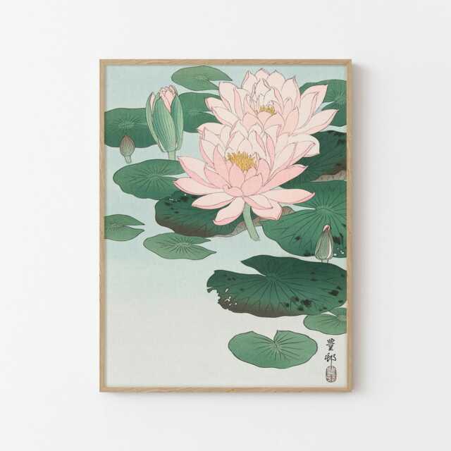 Water Lily Fine Art Print - Ohara Koson Japanese - image 1