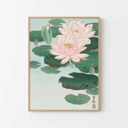 Water Lily Fine Art Print - Ohara Koson Japanese - thumbnail 1