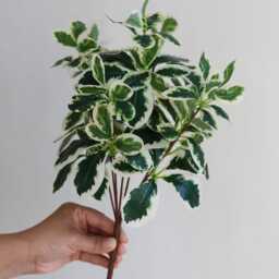 Faux Schefflera Actinophylla, Artificial Spring Leaf Branch, Fake Plant Stem in Minimalist Style, Office/Wedding/Home Craft Decoration Gifts - thumbnail 2