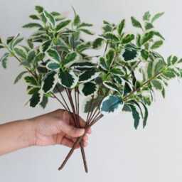 Faux Schefflera Actinophylla, Artificial Spring Leaf Branch, Fake Plant Stem in Minimalist Style, Office/Wedding/Home Craft Decoration Gifts - thumbnail 3