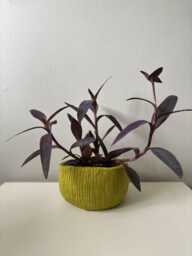 Handmade Ceramic Planter Chartreuse-Lime Green Glazed Pot - thumbnail 1