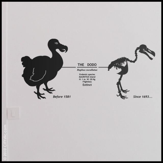Animal Wall Decal Dodo Wall Decor, Mauritius Extinct Bird With Dates & Skeleton Sticker - image 1