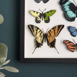 Hand Painted Paper Cut Butterfly Framed Wall Art - Butterfly Art Print 3D Wall Gift For Her - thumbnail 3