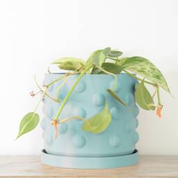 "Polka Dot Planter With Drainage & Saucer in Cotton Candy Blue, Unique 3D-Printed Plant Pot, Small To Large Sizes 4"" 5"" 6"" 7"" 8" - thumbnail 4