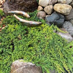 Koi Sculpture Stainless Steel Garden Fish Handmade Welded Metal Patina Outdoor Zen Garden Art Decor Lawn - thumbnail 4