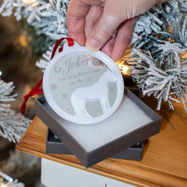 Personalised Pet Horse Pony Silhouette Memorial 3D Acrylic & Mirror Christmas Tree Decoration Bauble - image 1