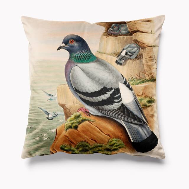 Pigeon Bird Velvet Cushion 45cm X Cushions Pillows Pigeons - Racing - image 1