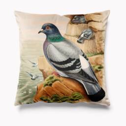 Pigeon Bird Velvet Cushion 45cm X Cushions Pillows Pigeons - Racing - thumbnail 1
