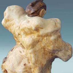 Wood Carved Statue, Wood Art Decor, Japan Sculpture, Japanese Sumo, Sculptures, Sumo Wrestler, Decor, Wooden Sculpture - thumbnail 2