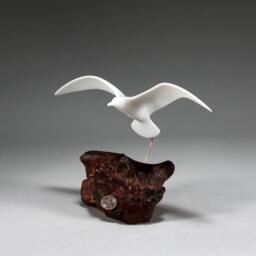Seagull Sculpture By John Perry 9In Wingspan Hovering Version On Burlwood. Signed - thumbnail 2