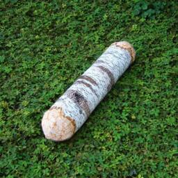 Tree Log Bolster Pillow Set Of Four - Free Shipping World-Wide - thumbnail 2