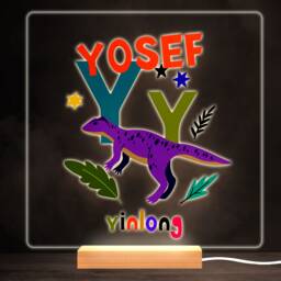 Y Dinosaur Alphabet Colourful Square Personalised Gift Led Lamp Night Light - Bedroom