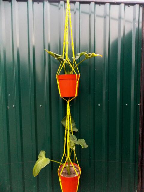 Yellow Double Macrame Plant Hanger 60 Inches 5mm - Hanging Planter Planter  Pot Holder Plant Pattern Macrame Wall by Etsy | uFurnish.com