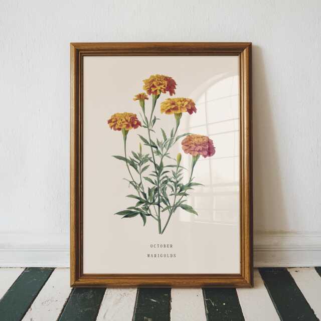 October Marigold Birth Flower Print - Vintage Botanical Wall Art, Birthday Gift For Her - image 1