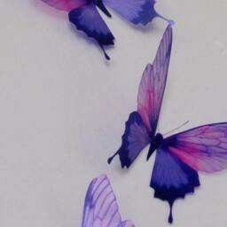 3D Butterfly Wall Decals Pink & Purple Decorations - Set Of 4 - thumbnail 2