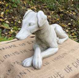"Whippet Dog Lying Down Statue Garden Ornament Frost Proof Stone 61cm/2Ft " - thumbnail 1