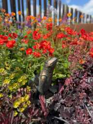 Prince Frog Garden Ornament - Resin Statue Bronze Effect Outdoor Decor Figurine Animal Lawn Sculpture Gardeners Gift - thumbnail 1