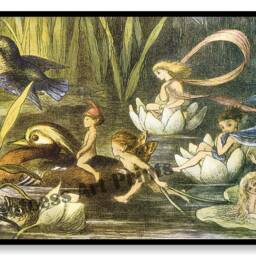 Richard Doyle Vintage Fairy Butterfly Illustrations Set Of 4 Art Prints Fairies, Pixies, Elves - thumbnail 3