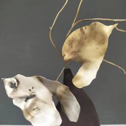 Refuge Of Leaves - thumbnail 2