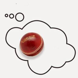 Funny Cricket Dreams Joke Pillowcase For Fans & Players From Twisted Twee's Celebrated Headcase Pillowslip Range - thumbnail 3