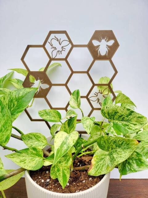 Honeybee Hexagon Houseplant Trellis, Plant Support, 3D Printed, For Indoor Houseplants - image 1