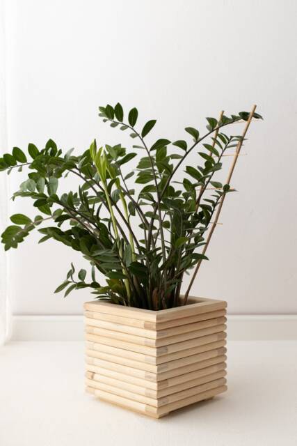 Natural Indoor Wooden Planter, Terrace Flowerpot in Minimal Design 3D, Pot For Outdoor Or Indoor, Boho Patio Flower - image 1