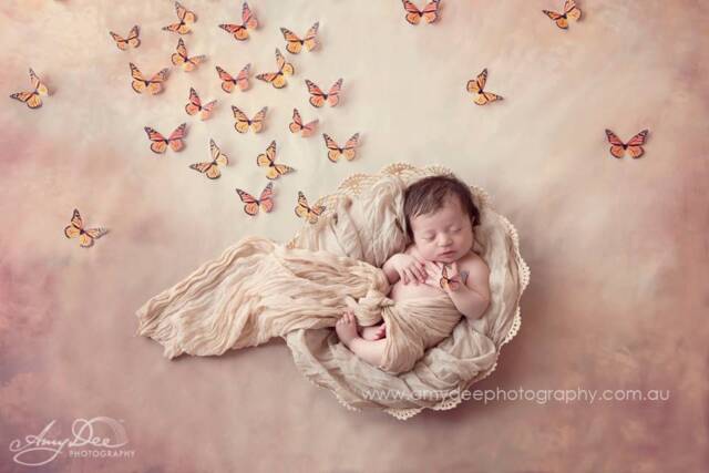 Monarch Butterflies 3D Wall Art - Set Of 100 - image 1